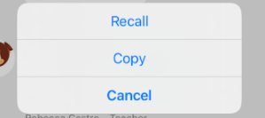 mceclip1.png